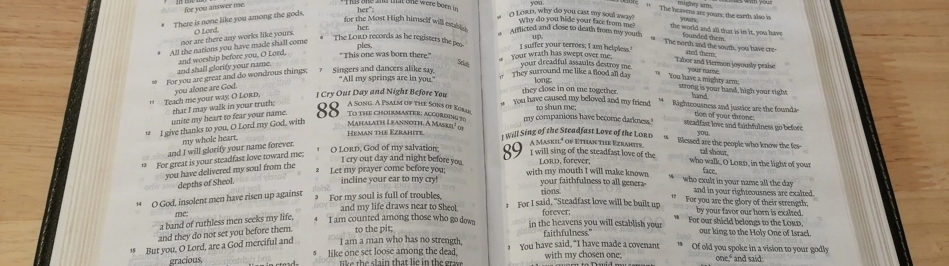 An open Bible at the Psalms